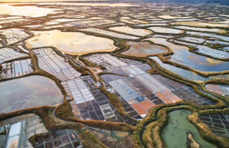 Marais salants de Guérande